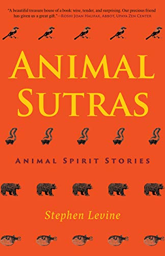 Animal Sutras: Animal Spirit Stories von Monkfish Book Publishing
